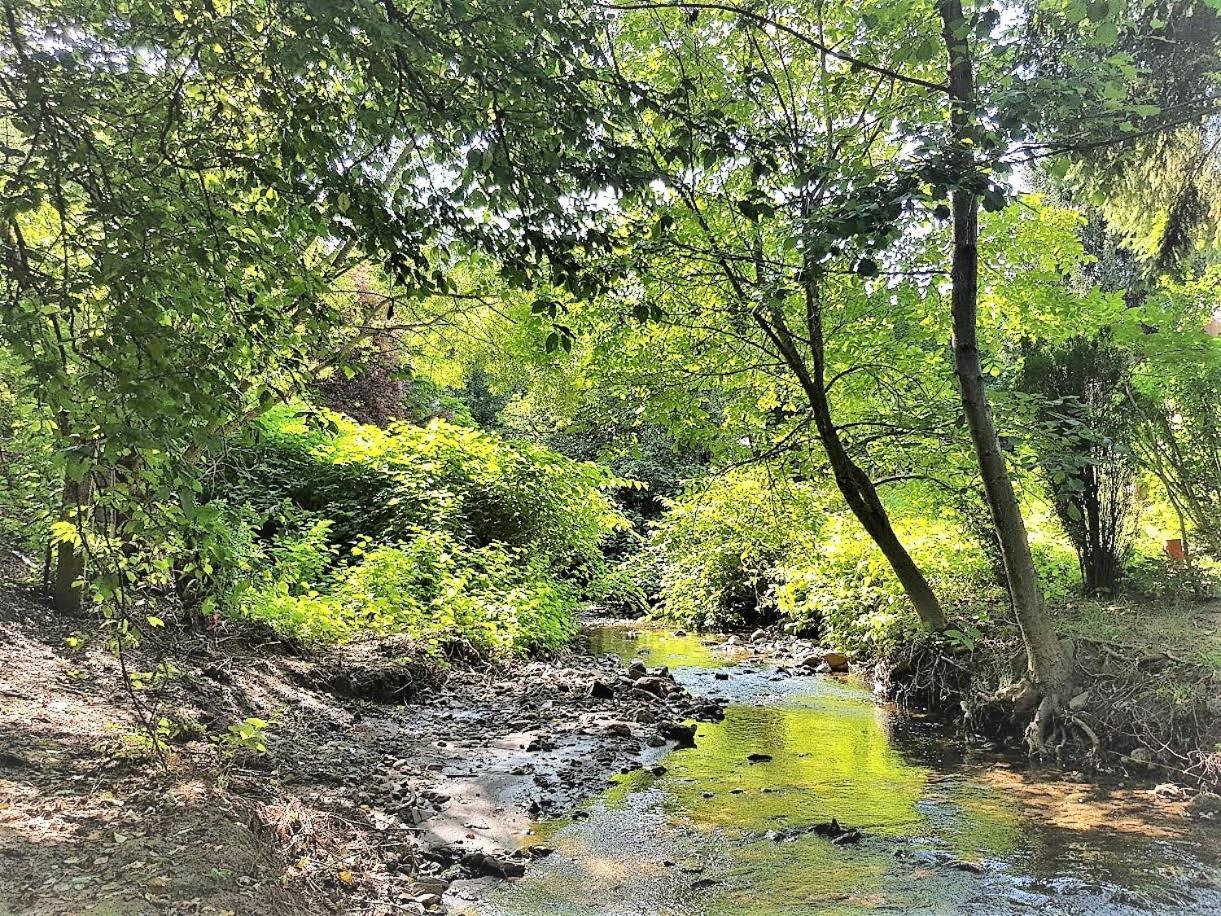 הוסטל Parád Muskatli Vendeghaz מראה חיצוני תמונה